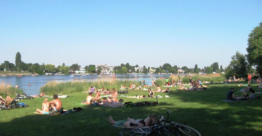 Schoenes Living Am Donauufer Відень Екстер'єр фото